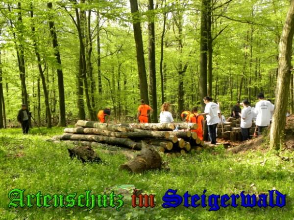 Copyright AiS / 2ß09 Helga Zinnecker Bild zum Eintrag (26911-160)