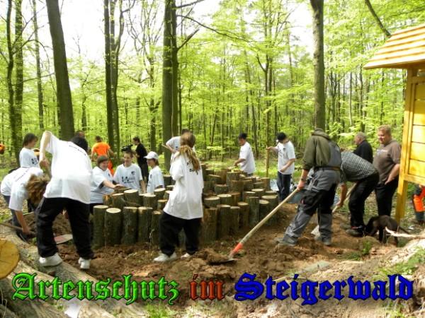 Copyright AiS / 2009 Helga Zinnecker Bild zum Eintrag (26918-160)