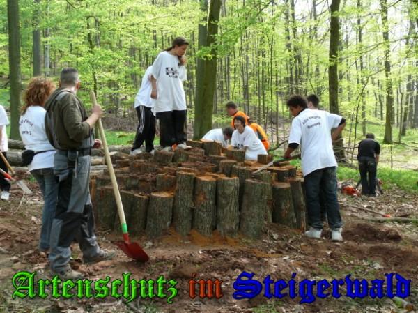 Copyright AiS / 2009 Helga Zinnecker Bild zum Eintrag (26919-160)