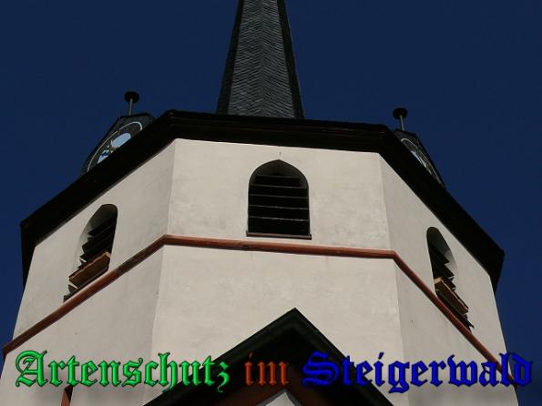 Bild zum Eintrag (26939-160)