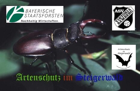 Copyright AiS / 2008 Hubertus Zinnecker Bild zum Eintrag (26958-160)