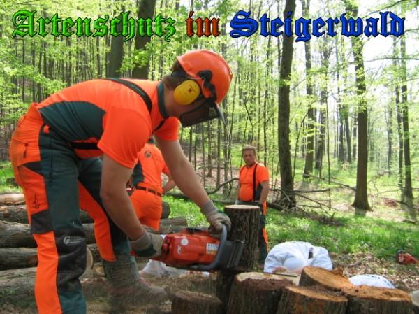 Copyright AiS / 2009 Bild zum Eintrag (26977-160)