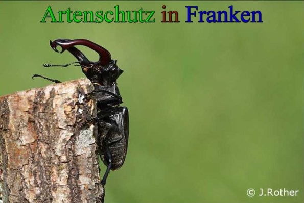 Copyright AiS-Johannes Rother Bild zum Eintrag (26984-160)