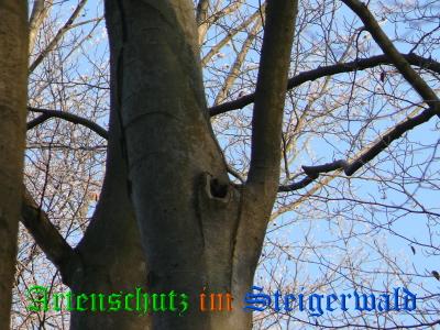 Copyright AiS / Zeis Bild zum Eintrag (27003-160)