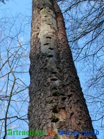 Copyright AiS / Zeis Bild zum Eintrag (27004-160)