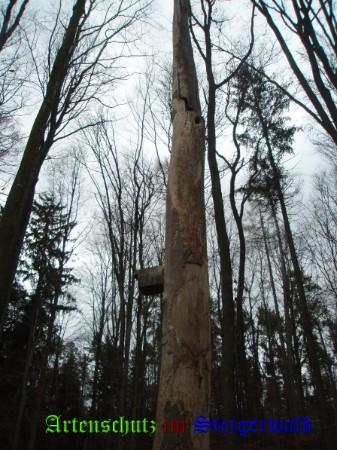 Copyright AiS / Schrei Bild zum Eintrag (27011-160)