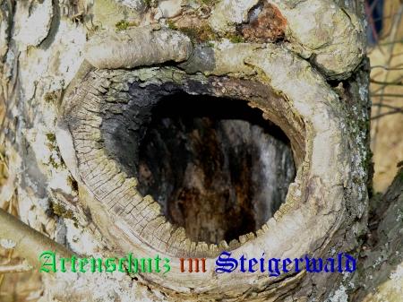 Copyright AiS / 2008 Albert Meier Bild zum Eintrag (27018-160)