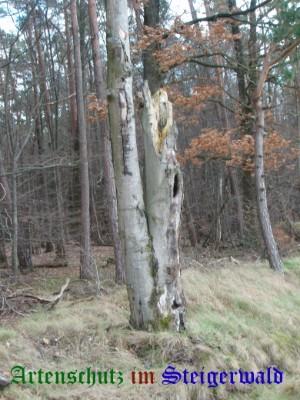 Copyright AiS / Weidner Bild zum Eintrag (27035-160)