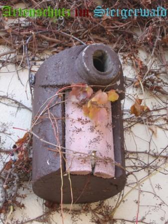 Copyright AiS / Köhler Bild zum Eintrag (27056-160)