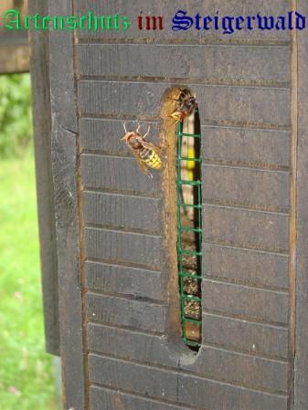 Copyright AiS / AS Bild zum Eintrag (27067-160)