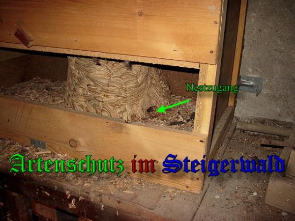Copyright AiS / 2009 Köhler Bild zum Eintrag (27081-160)