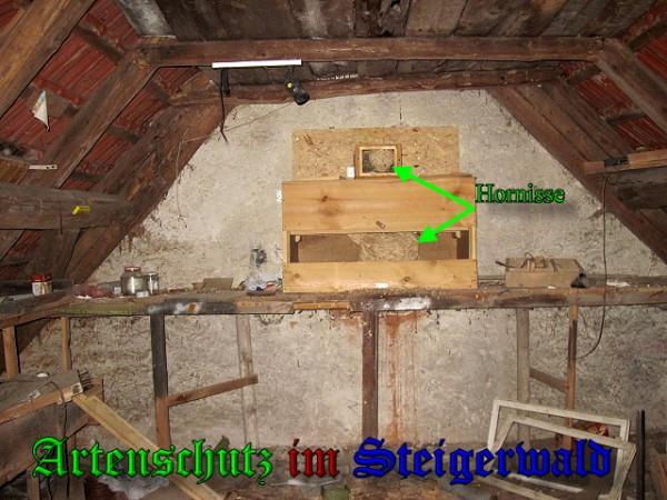 Copyright AiS / 2009 Köhler Bild zum Eintrag (27082-160)