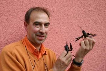 Copyright AiS / Brandl FT Bild zum Eintrag (27102-160)