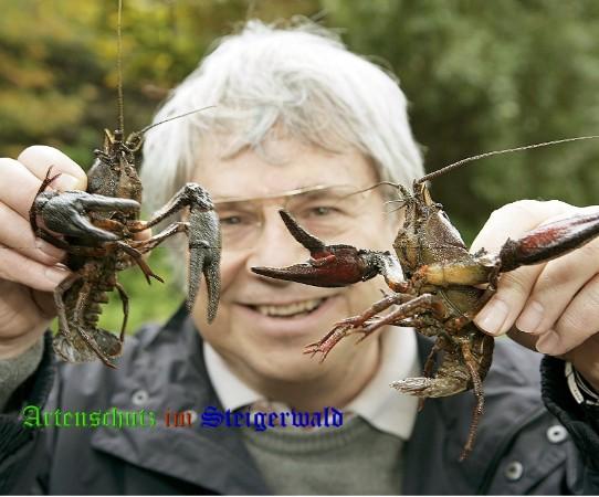 Copyright AiS / FT Matthias Hoch Bild zum Eintrag (27121-160)