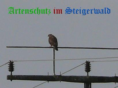 Copyright AiS / Schrei Bild zum Eintrag (27228-160)