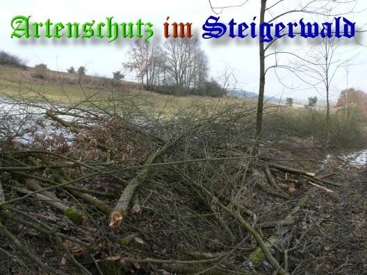 Copyright AiS / 01-03-2009 Bild zum Eintrag (27258-160)