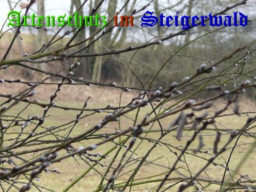 Copyright AiS / 01-03-2009 Bild zum Eintrag (27259-160)