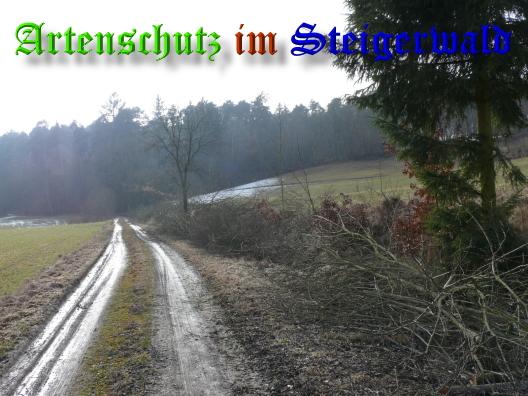 Copyright AiS / 01-03-2009 Bild zum Eintrag (27273-160)