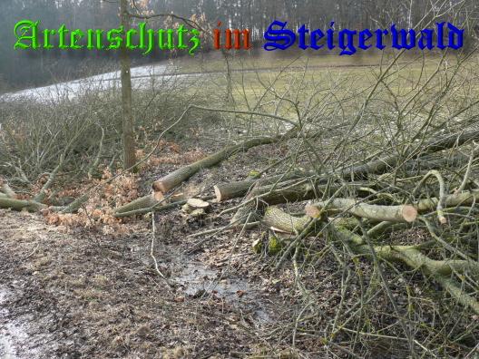 Copyright AiS / 01-03-2009 Bild zum Eintrag (27279-160)