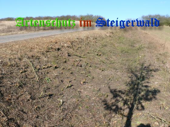 Copyright AiS / 2008 Düsel Georg Bild zum Eintrag (27305-160)