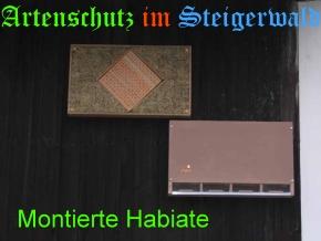 Copyright AiS / Köhler Bild zum Eintrag (27983-160)
