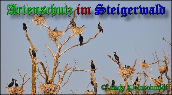 Copyright AiS / Andy Kleinschmidt Bild zum Eintrag (28191-160)