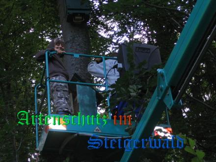 Copyright AiS / Köhler Bild zum Eintrag (29112-160)