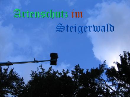 Copyright AiS / Köhler Bild zum Eintrag (29117-160)