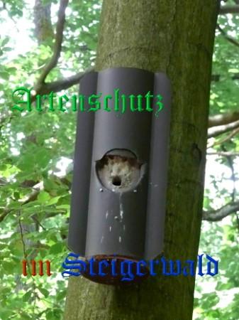 Copyright AiS / Weidner Bild zum Eintrag (29118-160)