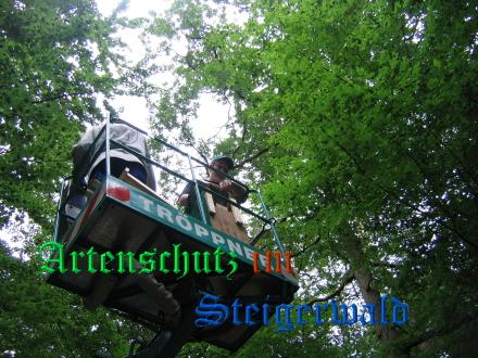 Bild zum Eintrag (29125-160)