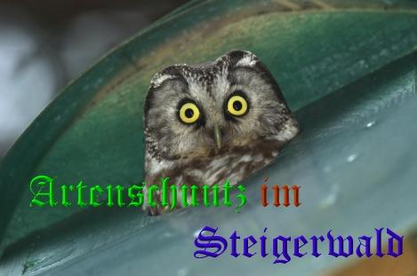 Bild zum Eintrag (29126-160)