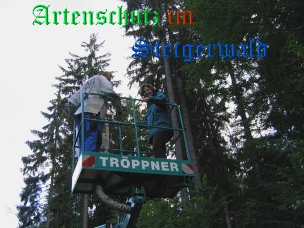 Bild zum Eintrag (29127-160)