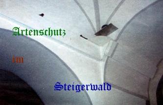 Copyright AiS / Metzner Bild zum Eintrag (29137-160)