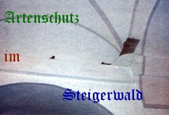 Copyright AiS / Metzner Bild zum Eintrag (29138-160)