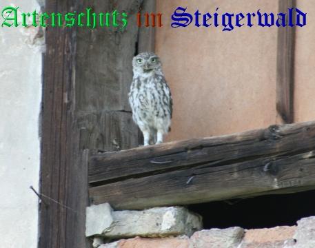 Copyright AiS / 2006 Kartheuser Bild zum Eintrag (29207-160)