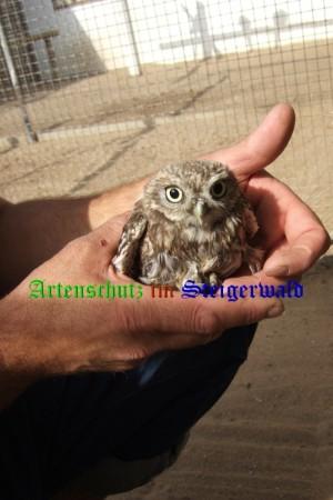 Copyright AiS / 2006 Bild zum Eintrag (29208-160)