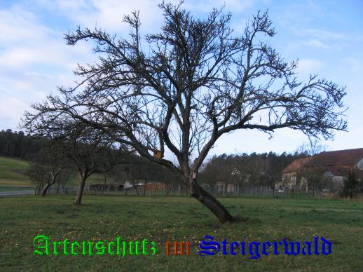 Bild zum Eintrag (29211-160)