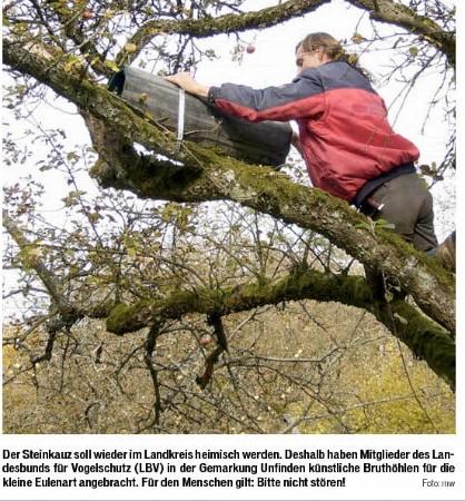 Copyright AiS / 2009-Fränkischer Tag 28-29.11.09 / HAS / Seite 16 / Hassgau Autor Manfred Wagner Bild zum Eintrag (29228-160)