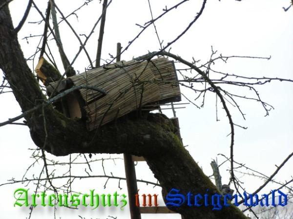 Copyright AiS / 2009 Kunze Bild zum Eintrag (29254-160)