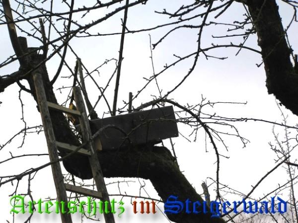 Copyright AiS / 2009 Kunze Bild zum Eintrag (29256-160)