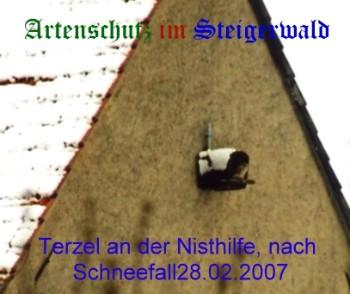 Copyright AiS / Köhler Bild zum Eintrag (29284-160)