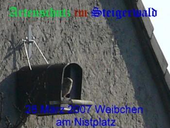 Copyright AiS / Köhler Bild zum Eintrag (29285-160)