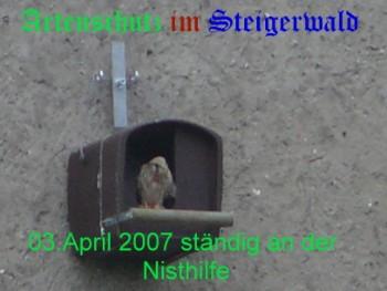 Copyright AiS / Köhler Bild zum Eintrag (29292-160)