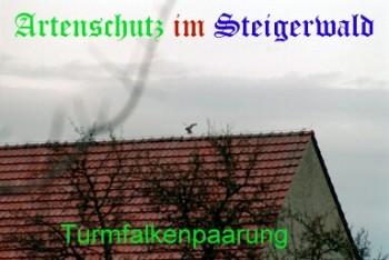 Copyright AiS / Köhler Bild zum Eintrag (29293-160)