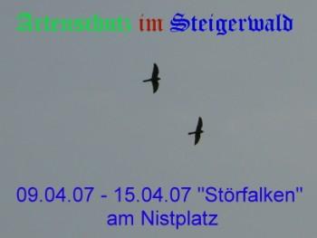 Copyright AiS / Köhler Bild zum Eintrag (29294-160)