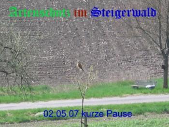 Bild zum Eintrag (29298-160)