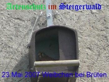 Copyright AiS / Köhler Bild zum Eintrag (29301-160)