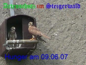 Copyright AiS / Köhler Bild zum Eintrag (29303-160)