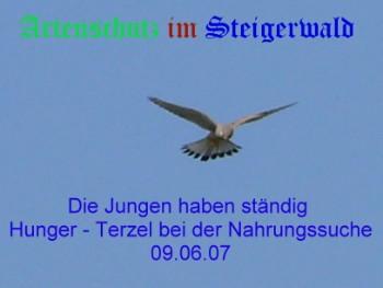 Copyright AiS / Köhler Bild zum Eintrag (29304-160)