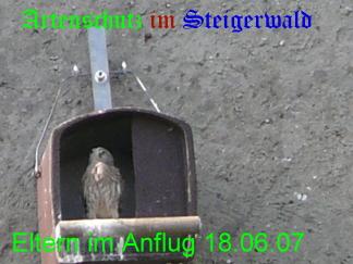 Copyright AiS / Köhler Bild zum Eintrag (29313-160)